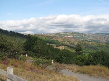 Percorso A piedi Gabriac - Sentier de Gabriac - Photo