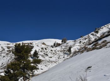 Tocht Sneeuwschoenen Orcières - 2020-01-20_15h07m48_Orcieres-11-Boucle-la-Forest-des-Marches-et-les-Marches - Photo