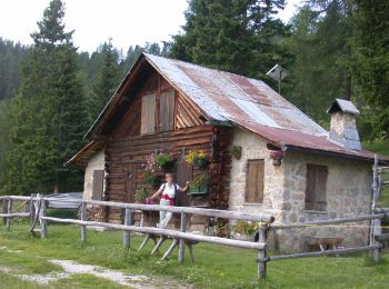 Tour Zu Fuß Pieve di Cadore - IT-350 - Photo