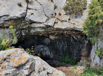 Trail Walking Mimet - le Baou traouca et la grotte des fées - Photo