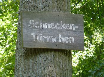 Randonnée A pied Kirchheimbolanden - Kirchheim-Bolanden Rundwanderweg Nr. 5 - Photo