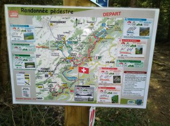 Trail Walking Fournet-Blancheroche - Barrage du Refrain (IBP 88) 01 avril 2021 reco Pierre R - Photo