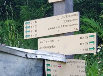Randonnée Marche Arâches-la-Frasse - randonnée en forêt, les Carroz, Araches, la Frasse - Photo