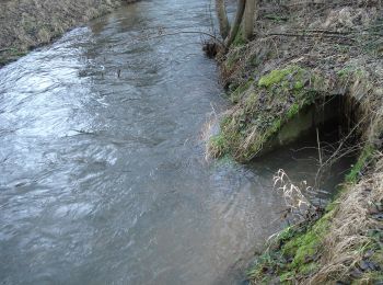 Tour Zu Fuß Frammersbach - Ortswanderweg Partenstein 9 - Photo