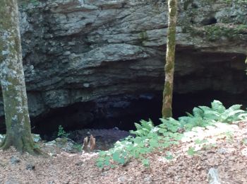 Randonnée Marche Saint-Martin-en-Vercors - grotte de la cheminée  - Photo