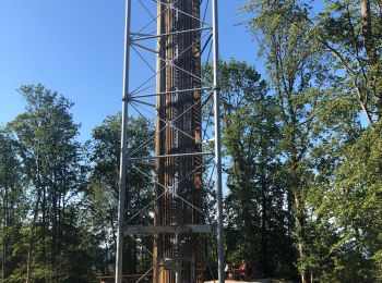 Randonnée Marche La Tour-de-Sçay - La tour des bois par le chemin des éolienne  - Photo