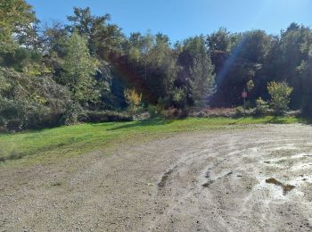 Trail Walking Bort-les-Orgues - Chute de la Saule - Photo