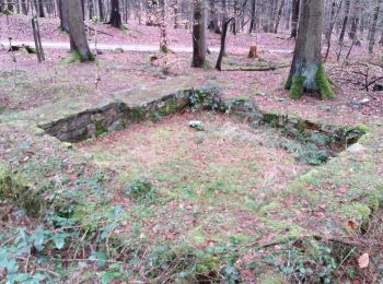 Excursión A pie Friedrichsdorf - Fuchslöcher - Lochmühle - Köpperner Tal - Photo