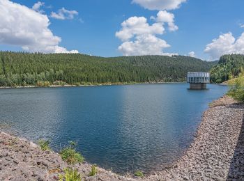 Tocht Te voet Tambach-Dietharz - Rundweg Schmalwassertalsperre - Photo