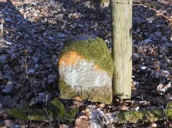 Randonnée A pied Steinau an der Straße - Steinau a. d. Straße, Wanderweg 7 - Photo