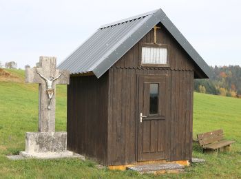 Percorso A piedi Presseck - Nordeck-Weg HRW 7 - Photo