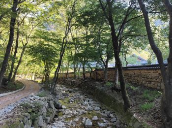 Tour Wandern  - Boucle des Peak sur les crêtes autour du temple Naejangsa  - Photo