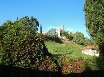 Trail On foot Cerrione - IT-S03 - Photo