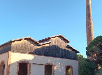 Trail Walking Port-Vendres - paullile - Cap bear via la mer retour via les vignes  - Photo