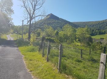 Trail Walking Saint-Paul-de-Salers - Tracé actuel: 18 MAI 2020 09:52 - Photo