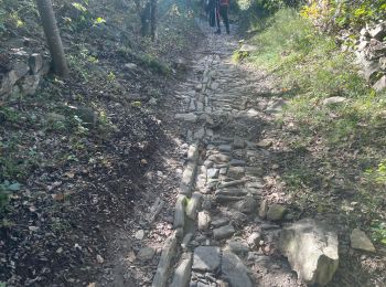 Randonnée Marche Vézénobres - Venez ivre - Photo