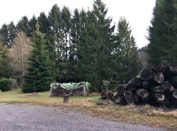 Tour Zu Fuß Much - Fischermühle Rundweg A2 - Photo