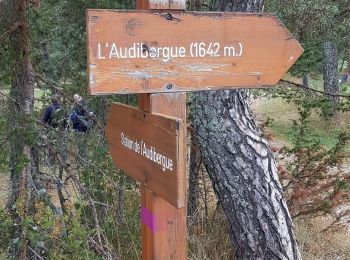 Trail Walking Caille - Mouliere - Photo