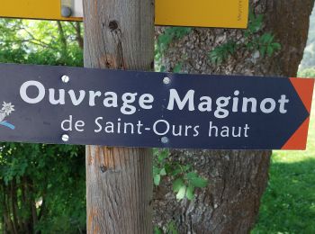 Tour Wandern Val-d'Oronaye - FORT DE ST-OURS HAUT - Photo