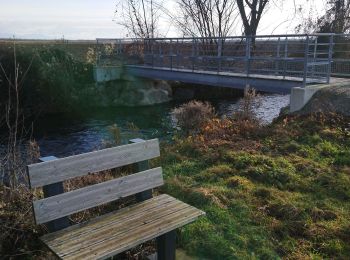 Trail Walking Meyenheim - Entre les berges de l'Ill et du canal Vauban  - Photo