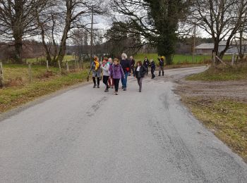 Percorso A piedi Rosiers-d'Égletons - Le Puy des Places - Photo