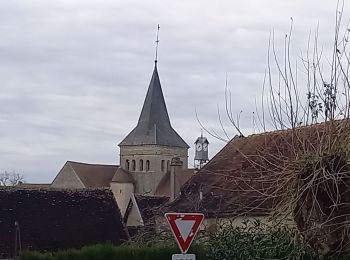 Randonnée Marche Coussegrey - Coussegrey 20km le 03.12.2023 - Photo