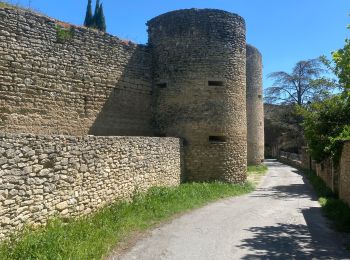 Tour Wandern Cabrières-d'Avignon - Cabrières d’Avignon mur de la peste  - Photo