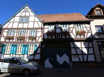 Tour Zu Fuß Reinheim - Ortsrundwanderweg S... 5 - Photo