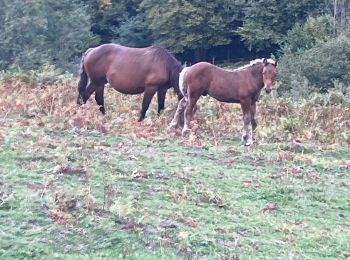 Tour Wandern Ustou - Alet lacarde - Photo