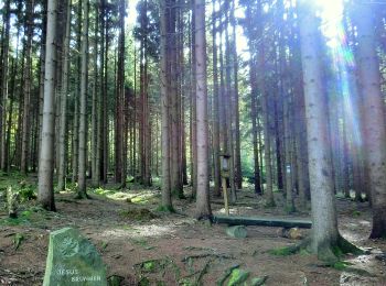 Tour Zu Fuß Gefrees - Gefrees Rundwanderweg Nr. 2 - Photo