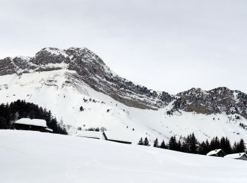 Randonnée Raquettes à neige École - Chalets-de-La-FULLIE-2021-01-20 - Photo