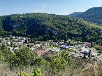 Trail Walking Moirans-en-Montagne - Villards d'Héria 19 km 20200531 - Photo