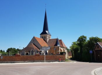 Excursión Senderismo Montreuil-sur-Barse - Montreuil sur Barse du 04/07/2019 - Photo