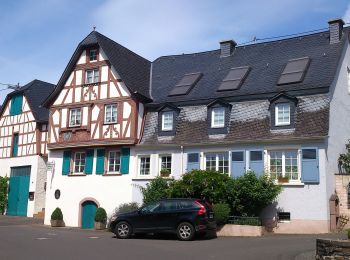 Tour Zu Fuß Kinheim - Wolf/Kloster - Kindel/Kinheim - Kröv - Photo