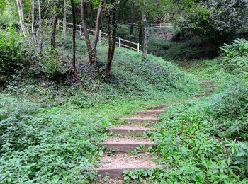 Trail On foot Piovene Rocchette - Sentiero dei Girolimini - Photo