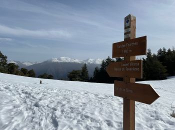 Tour Schneeschuhwandern Ilonse - Lauvet d’Ilonse - Photo