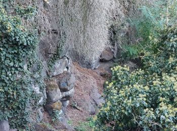 Tour Wandern Les Martres-de-Veyre - PUY DE CORENT - Photo