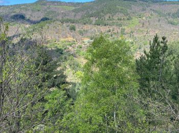 Tocht Stappen Aujac - Aujac Malons et Elze - Photo