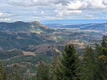 Percorso Marcia Lutzelhouse - suuntoapp-Hiking-2025-03-23T09-24-53Z - Photo