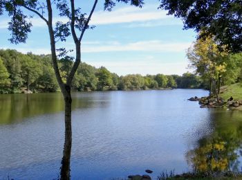 Tour Wandern Fayet-le-Château - Fayet_Chateau_Ronde_Fours - Photo