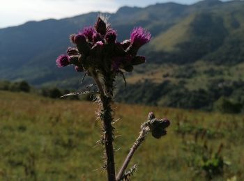 Tour Wandern Saint-François-Longchamp - st François - sentier du sapin 2020 - Photo