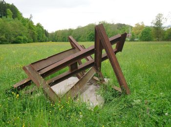 Tocht Te voet Böblingen - DE-SAV Blaues Kreuz, Böblingen - Waldenbuch - Photo