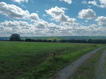 Tocht Mountainbike Comblain-au-Pont - boucle hamoir ouffet comblain - Photo