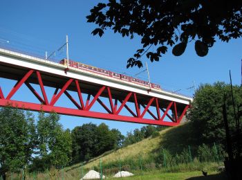 Tocht Te voet Lontzen - Hammerbrücke - Photo