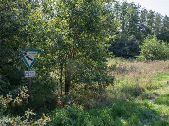 Tocht Te voet Absberg - Absberg 37 - Photo