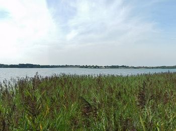 Randonnée A pied Scharbeutz - Scharbeutzer Heide kurz - Photo