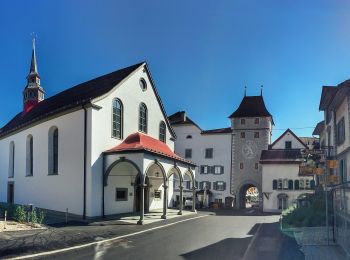 Tour Zu Fuß Willisau - Obere Stalde - Willisau - Photo