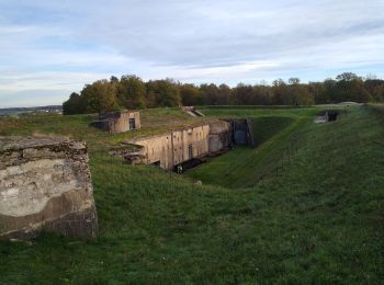 Tocht Stappen Uxegney - rando des forts - Photo