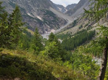 Trail Walking Vallouise-Pelvoux - Cascade de Clapouse - Photo