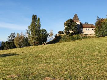 Tocht Elektrische fiets Domène - Domène Chartreuse Chateaux Eau  - Photo